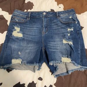 Judy Blue Hi-rise denim shorts